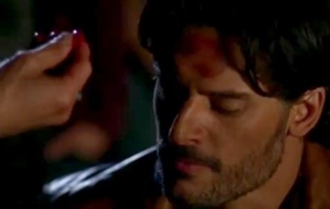 alcide-herveaux-58065